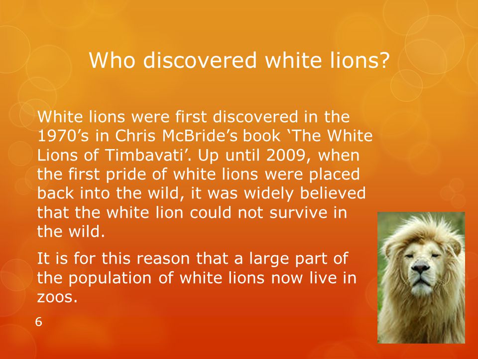By Luisa Mackie Primary 5 - ppt download By Luisa Mackie Primary 5 - ppt download