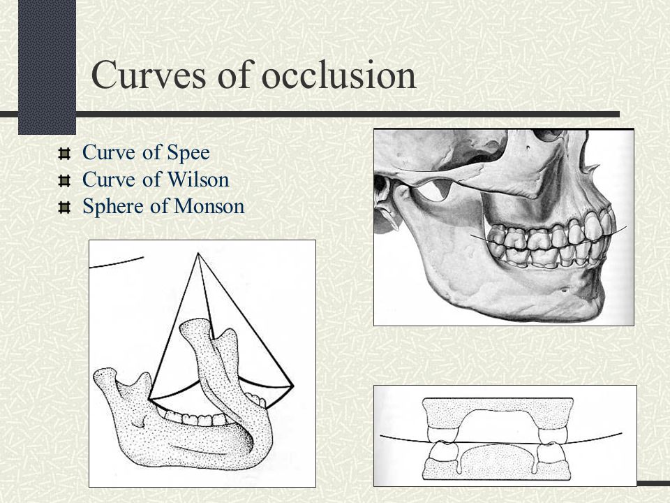 Compensating Curves Curve Of Spee Curve Of Wilson Curve Of, 45 OFF