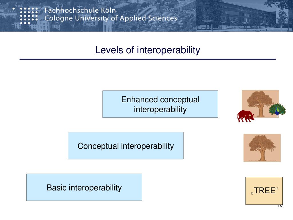 Levels of interoperability
