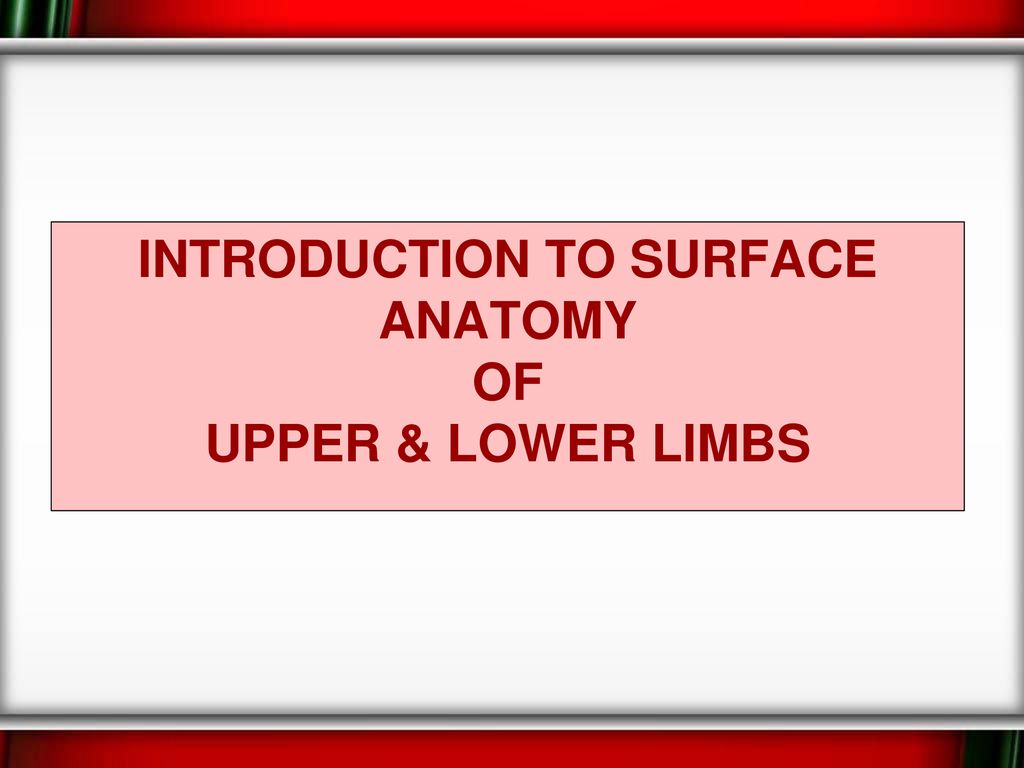 Introduction to Surface Anatomy of upper & lower limbs - ppt download