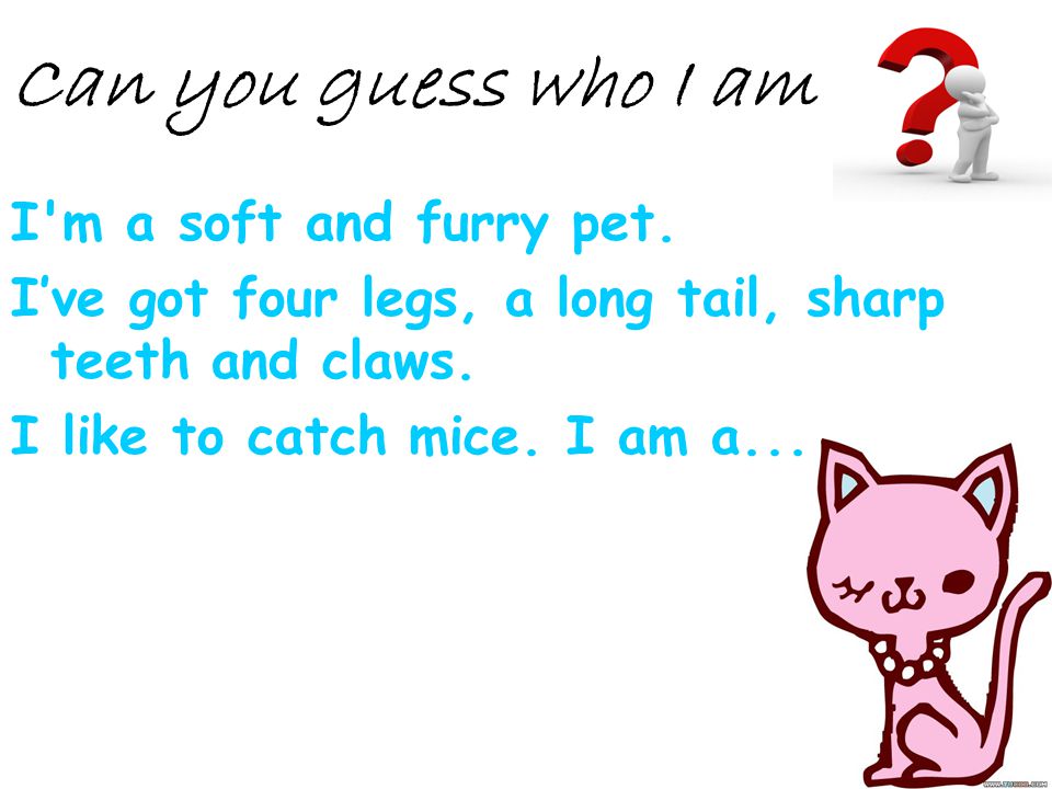 Can you guess who I am I m a soft and furry pet.
