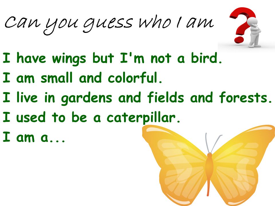 Can you guess who I am I have wings but I m not a bird.