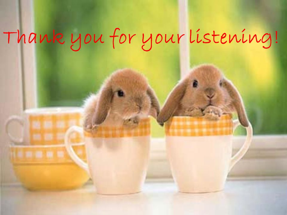 Thank you for your listening!