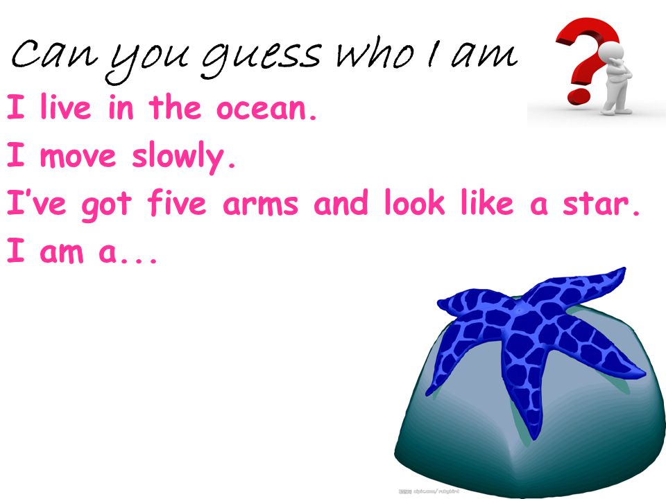 Can you guess who I am I live in the ocean. I move slowly.