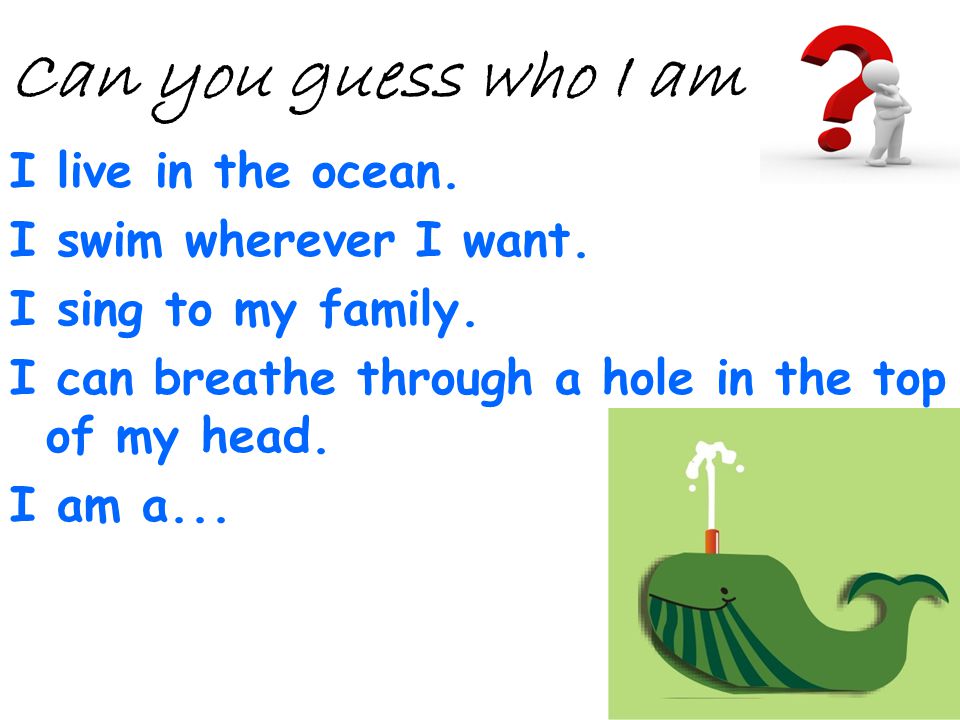 Can you guess who I am I live in the ocean. I swim wherever I want.