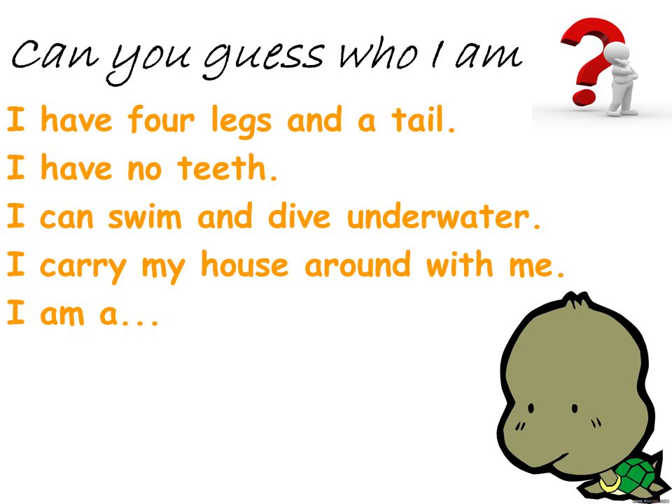 Can you guess who I am I have four legs and a tail. I have no teeth.