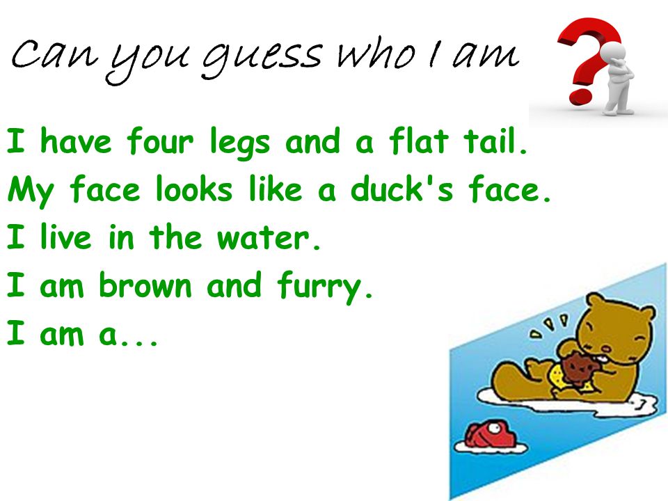 Can you guess who I am I have four legs and a flat tail.