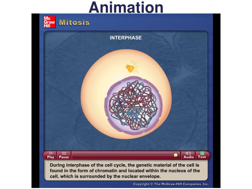 Biology Sylvia S. Mader Michael Windelspecht Biology Diagrams