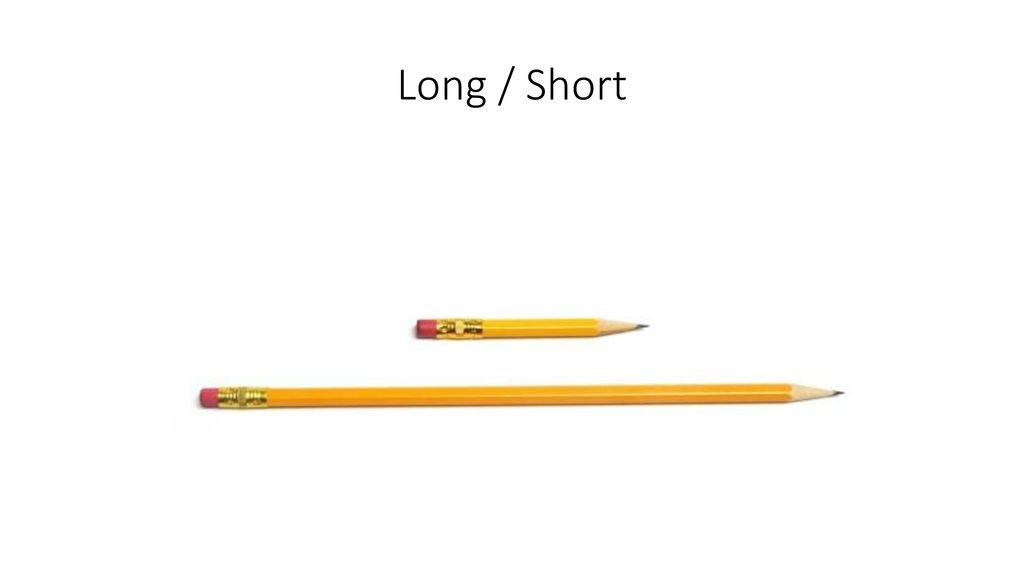 Long / Short