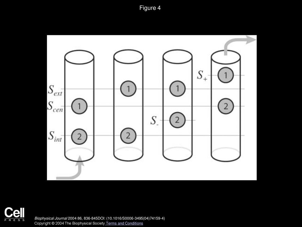 Ijms Free Full Text Metal Ion Periplasmic Binding Protein Yfea Of