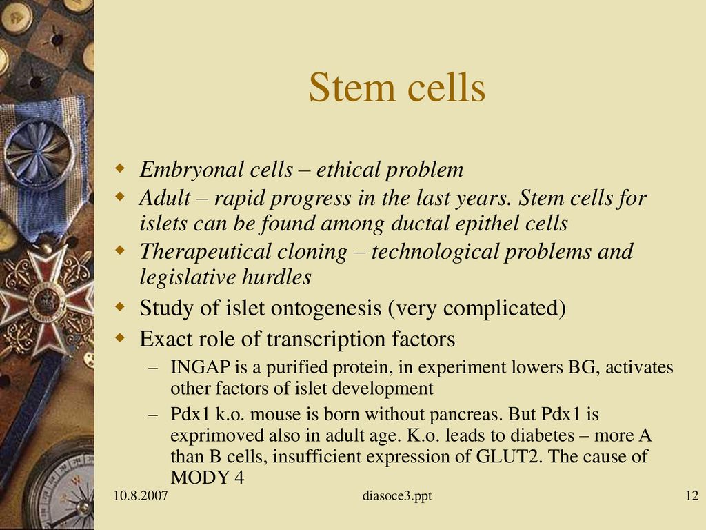 Stem cells Embryonal cells – ethical problem