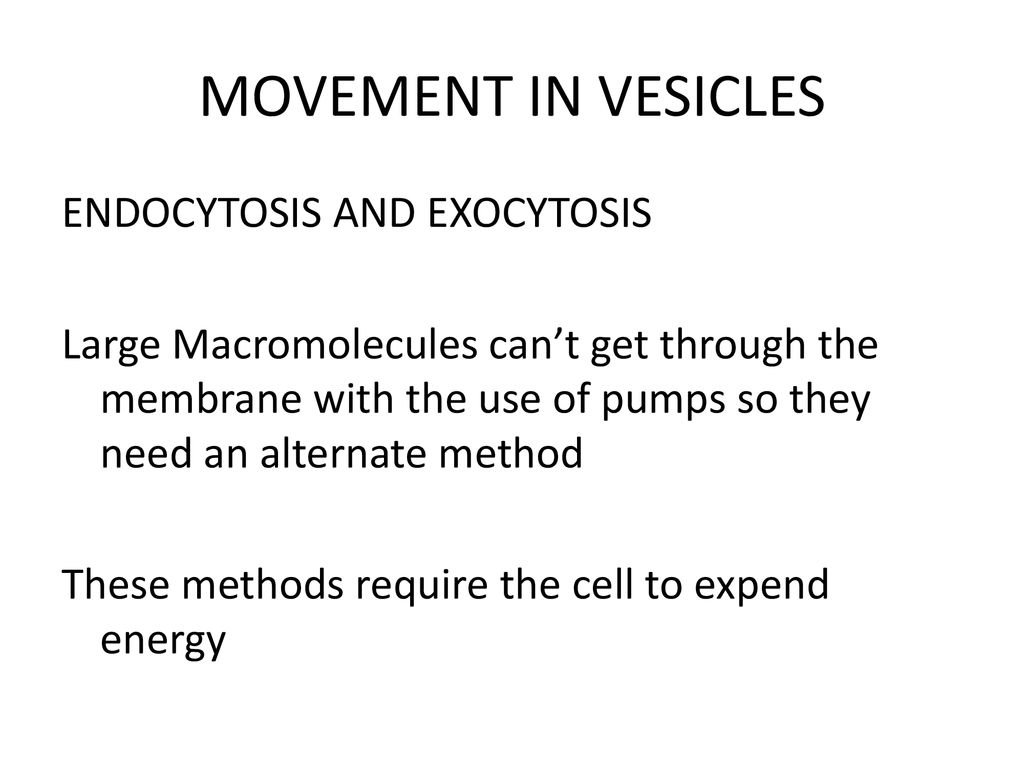 How the cell membrane helps to maintain homeostasis - ppt download