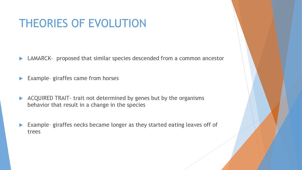 CHAPTER 14 ORIGINS OF LIFE. - ppt download