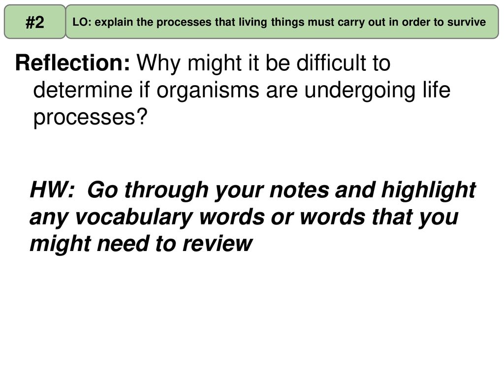 Do Now What kinds of things do biologists study? ppt download