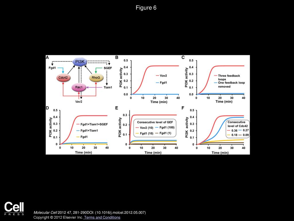 Figure 6 PI3K Activity Is Cooperatively Regulated by Multiple Downstream Rho Family Small GTPases through Coupled Positive Feedback Loops.