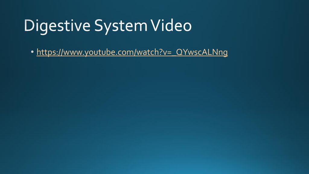 Digestive System Video