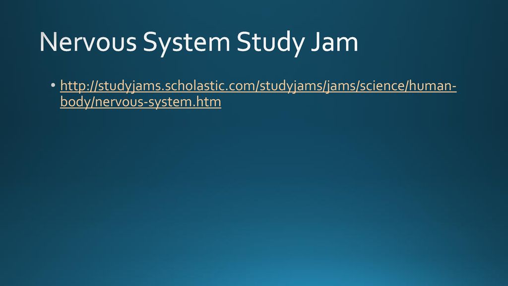 Nervous System Study Jam