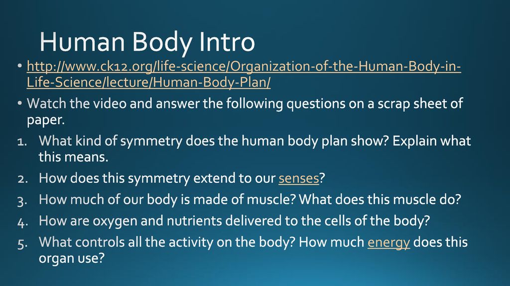 Human Body Intro   Life-Science/lecture/Human-Body-Plan/
