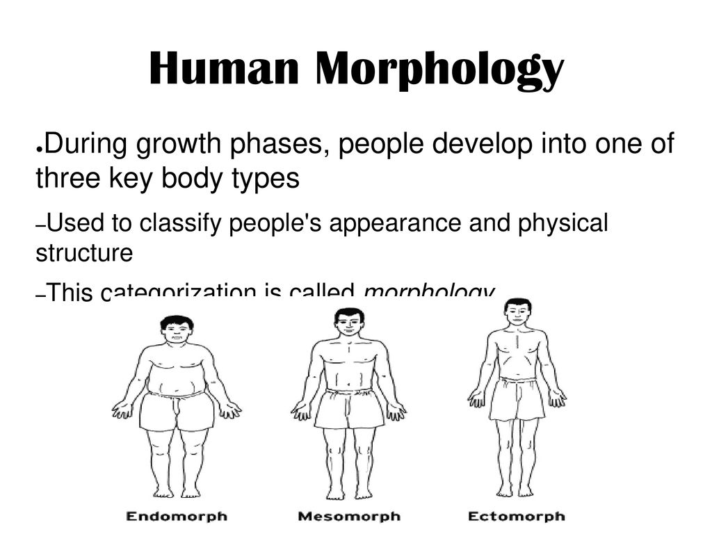 Human Growth and Development Biology Diagrams