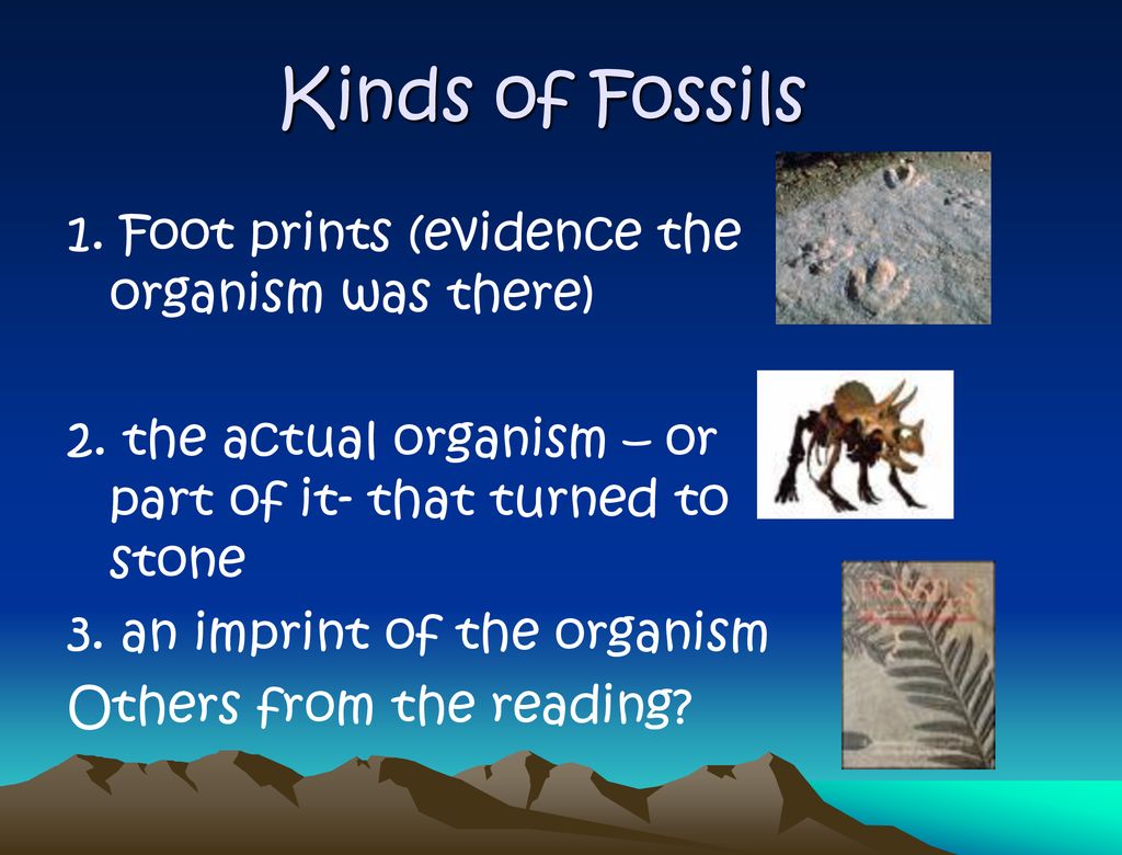 Kinds of Fossils 1. Foot prints (evidence the organism was there)