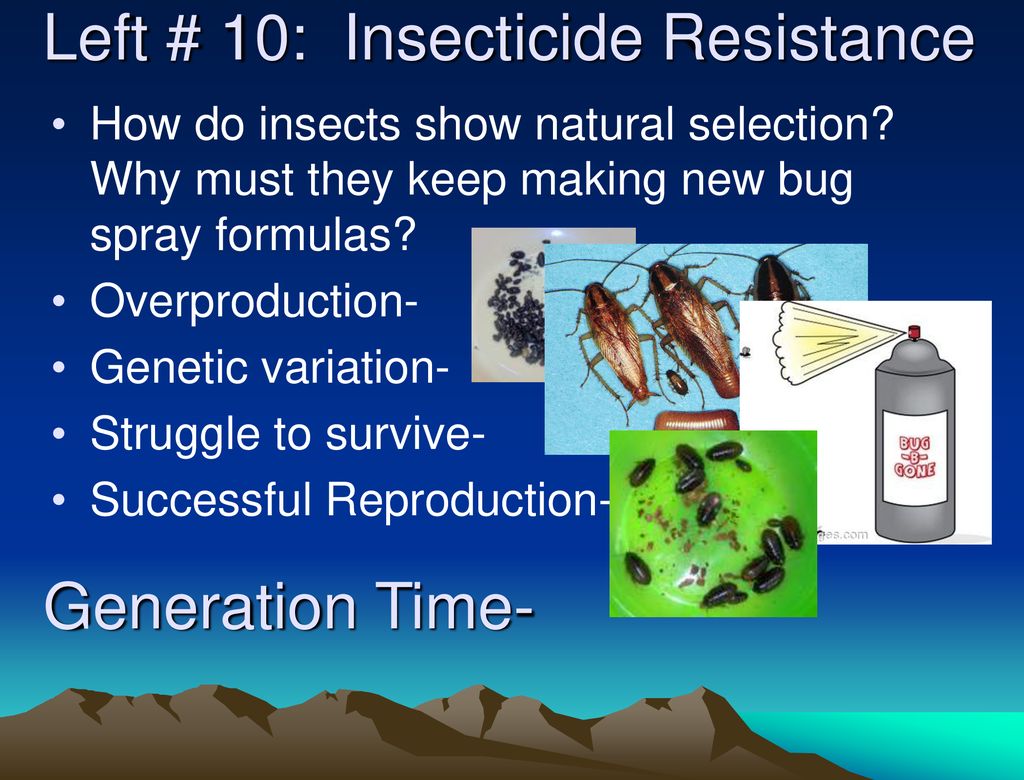 Left # 10: Insecticide Resistance