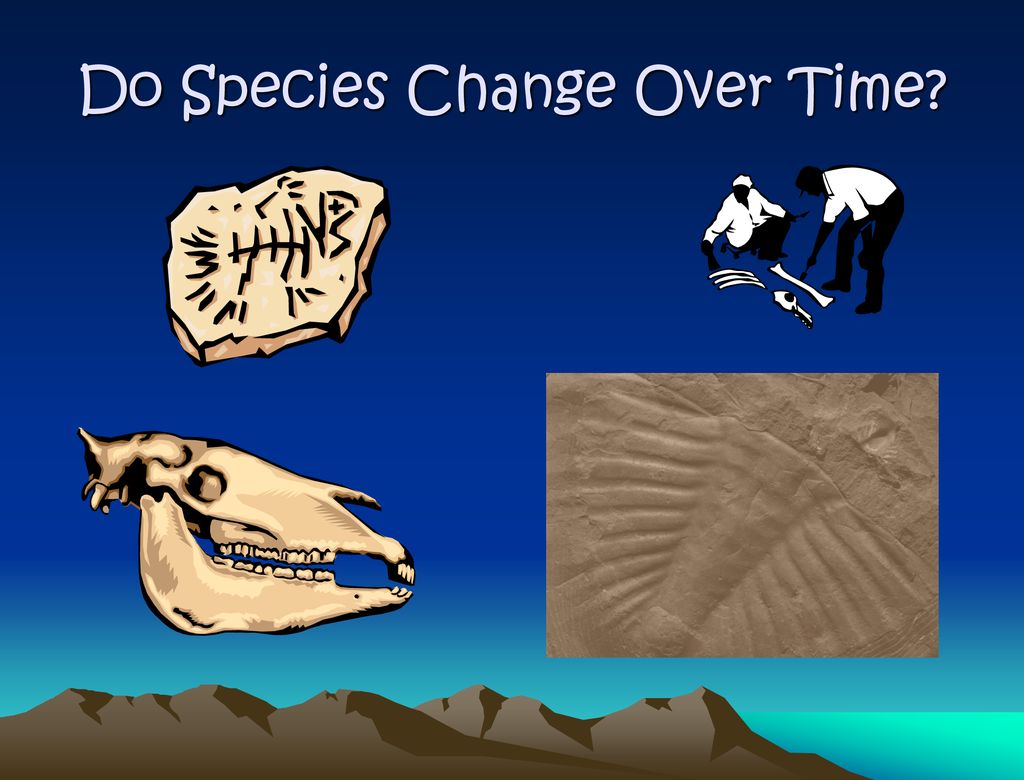 Do Species Change Over Time