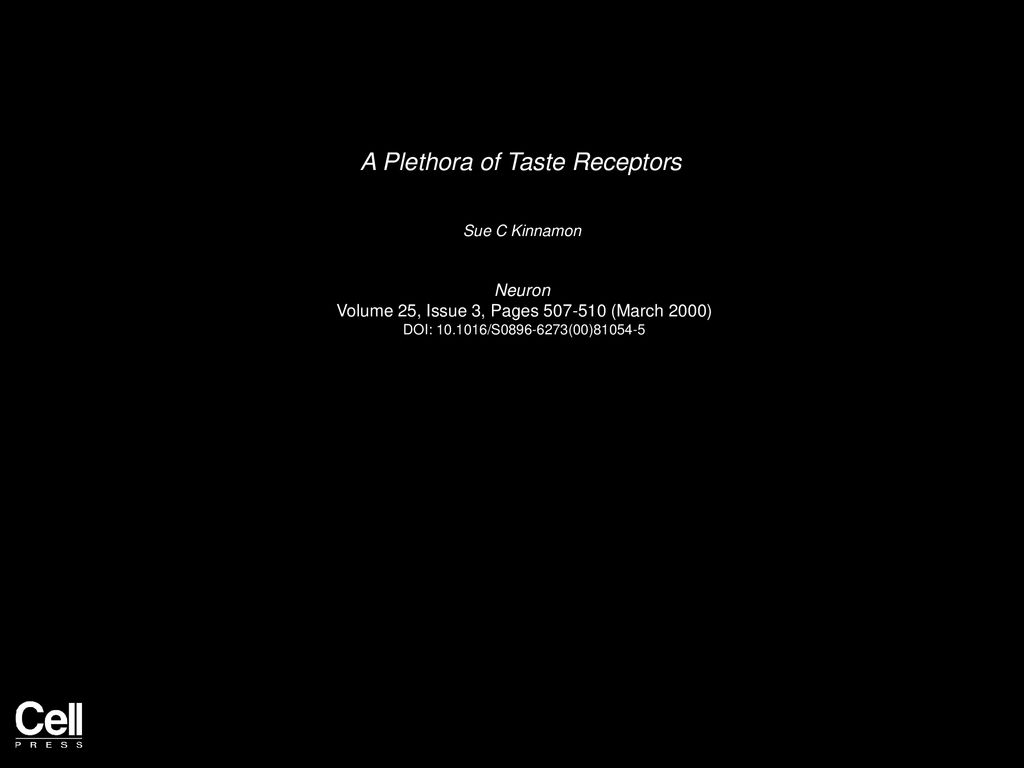 A Plethora Of Taste Receptors - Ppt Download