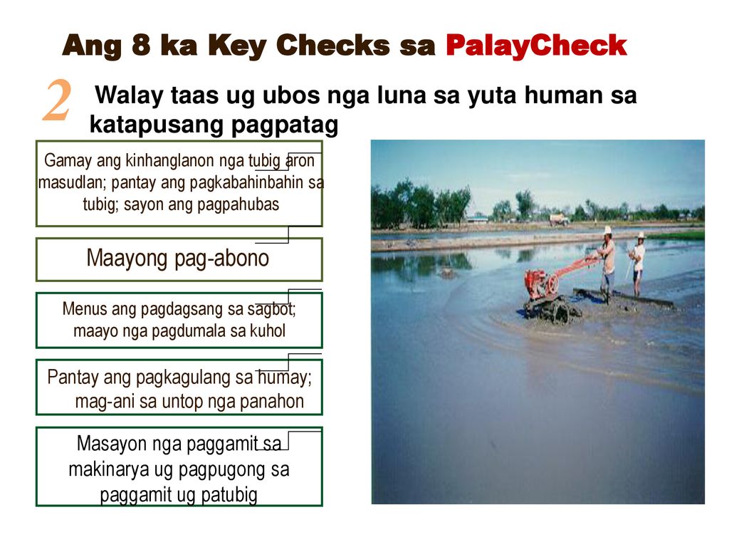 2 Ang 8 ka Key Checks sa PalayCheck