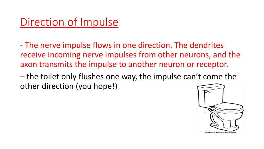 Direction of Impulse