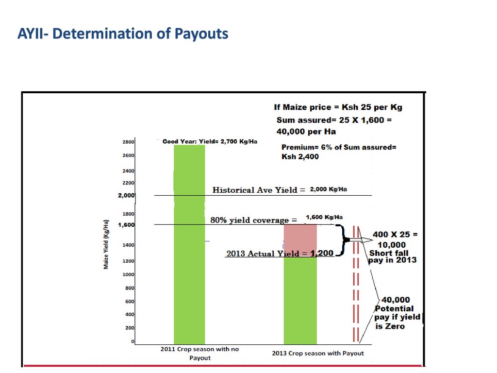 AYII- Determination of Payouts