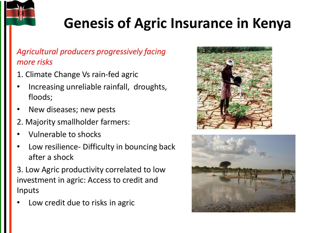 Genesis of Agric Insurance in Kenya
