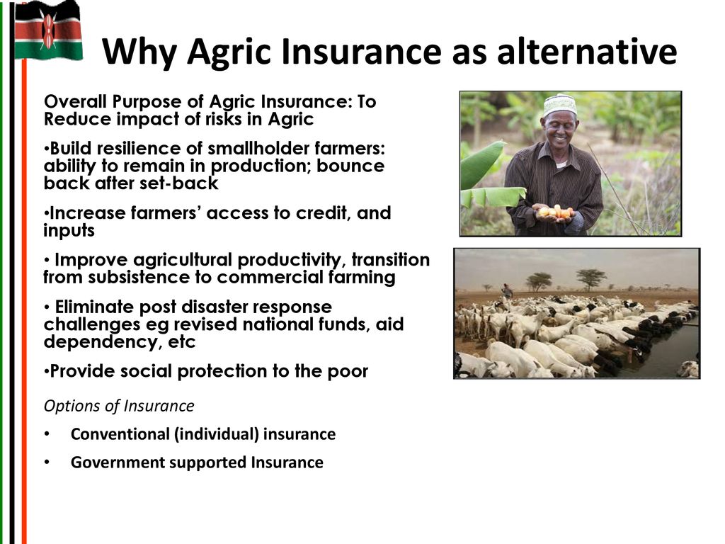 Why Agric Insurance as alternative