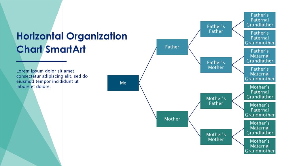 The Smartart Organization Chart Is In The Category