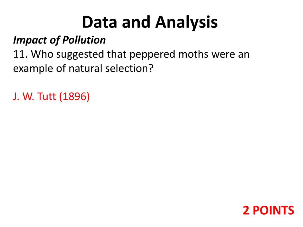 GRADING RUBRIC: PEPPERED MOTH LAB - ppt download