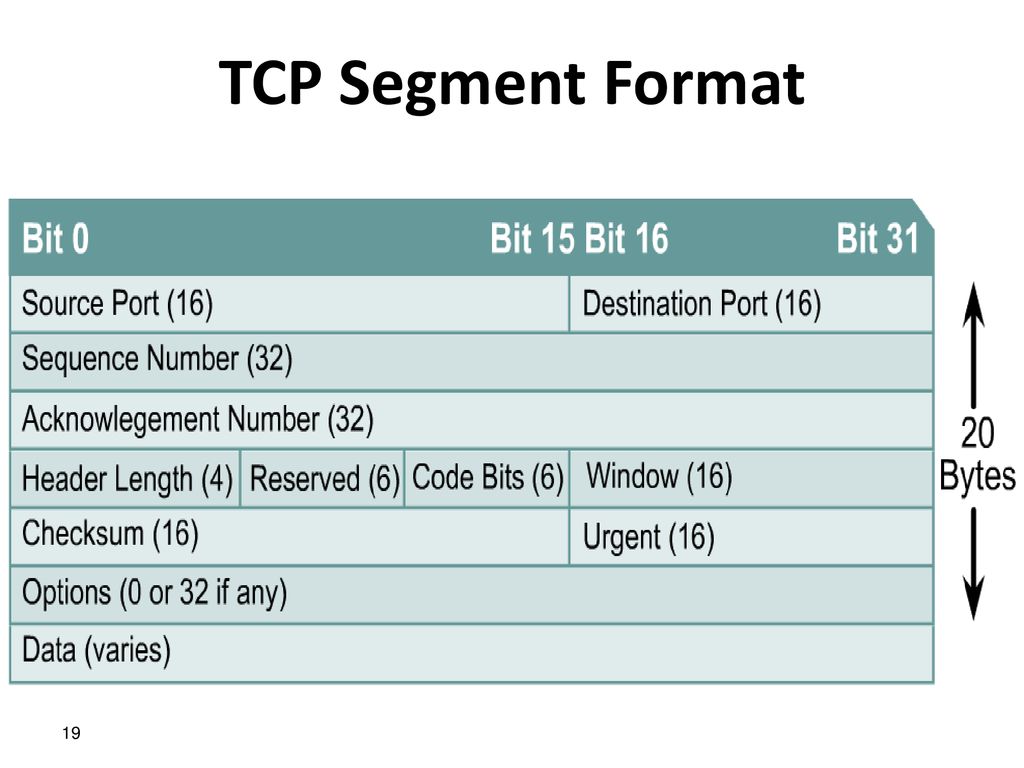 The tcp ip model ppt download