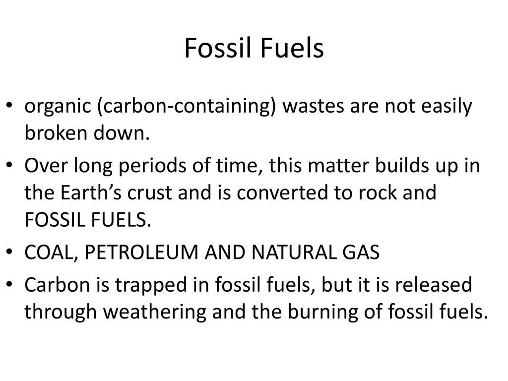 The Carbon Cycle. ppt download