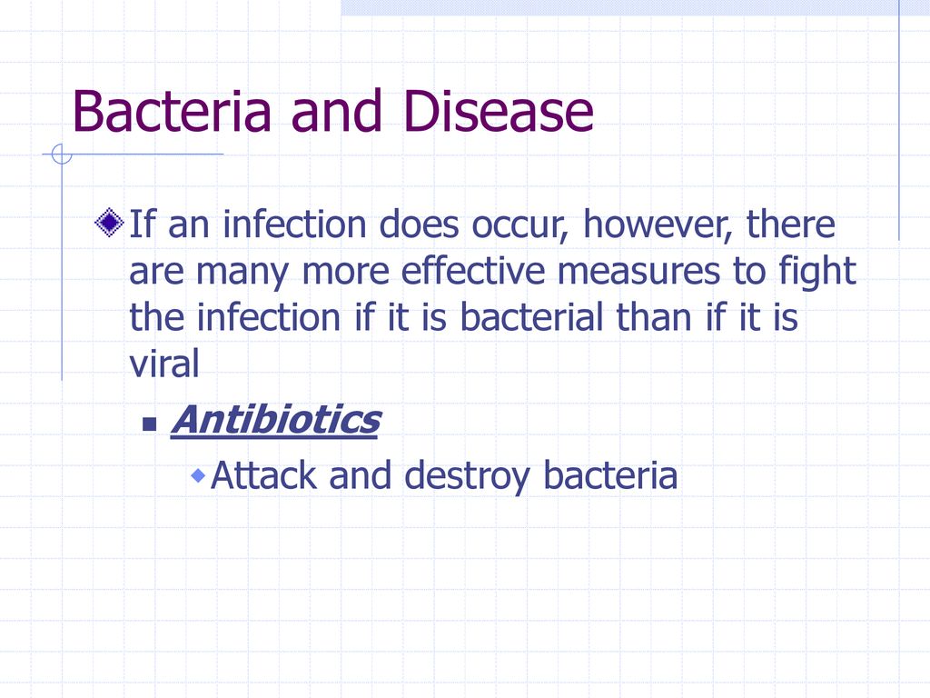 Chapter 17: Viruses and Bacteria - ppt download