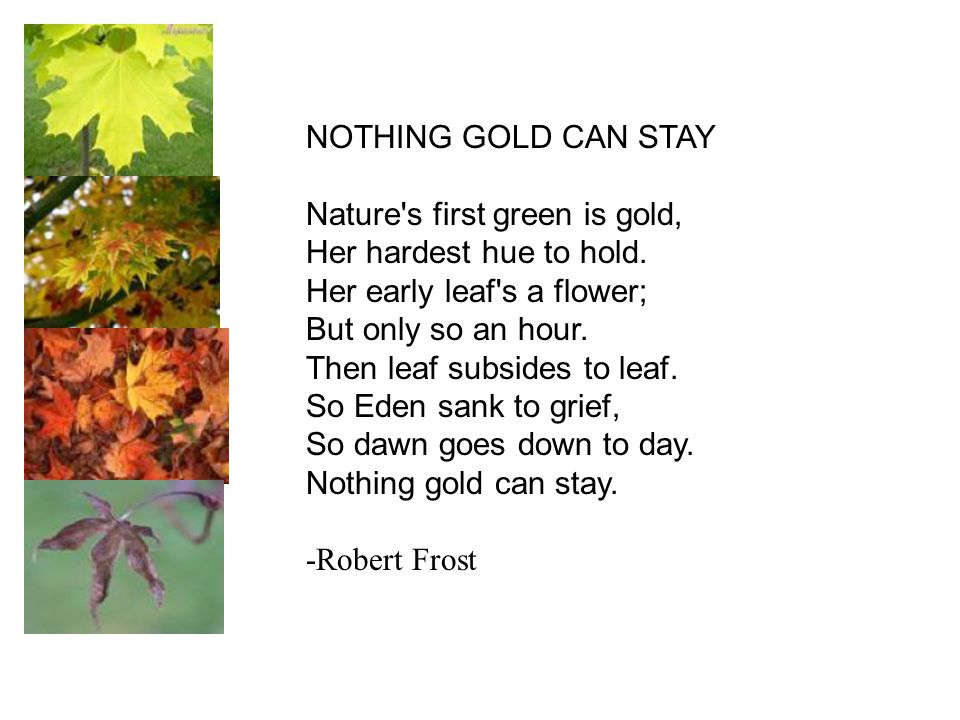 robert frost gold poem