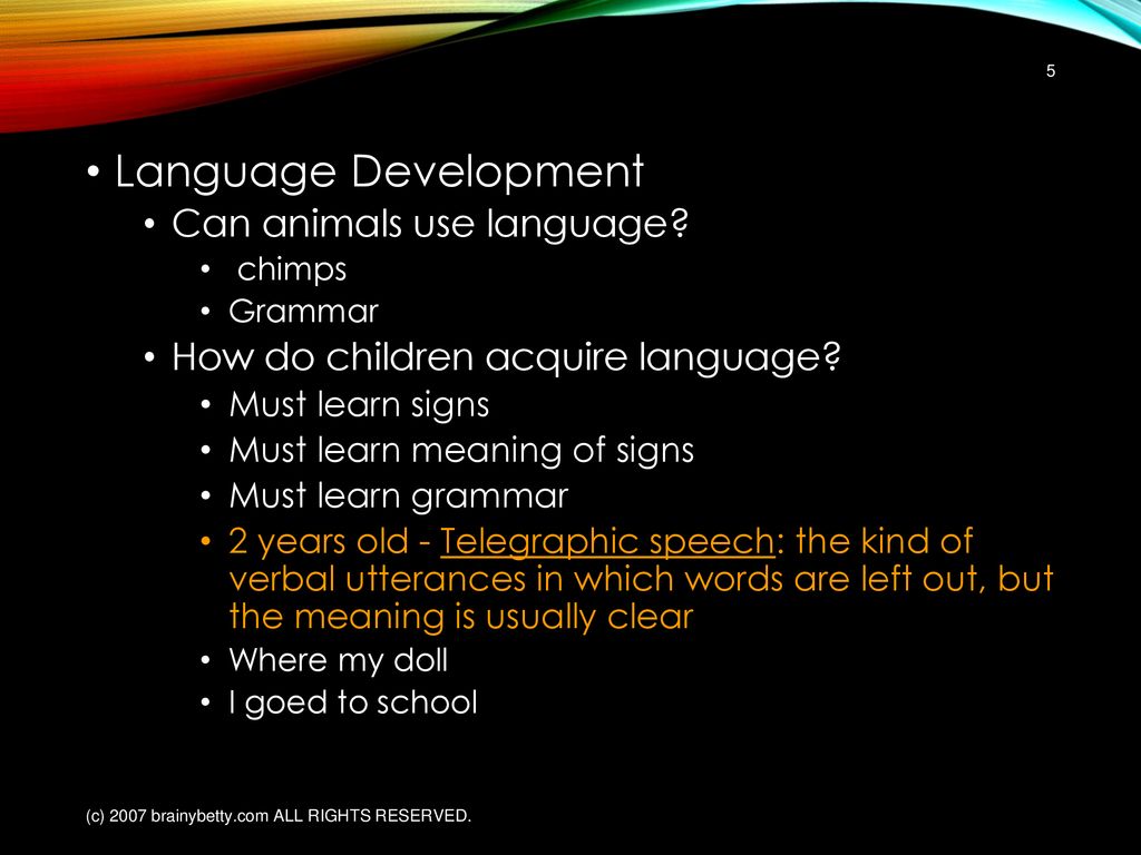 Language Development Can animals use language