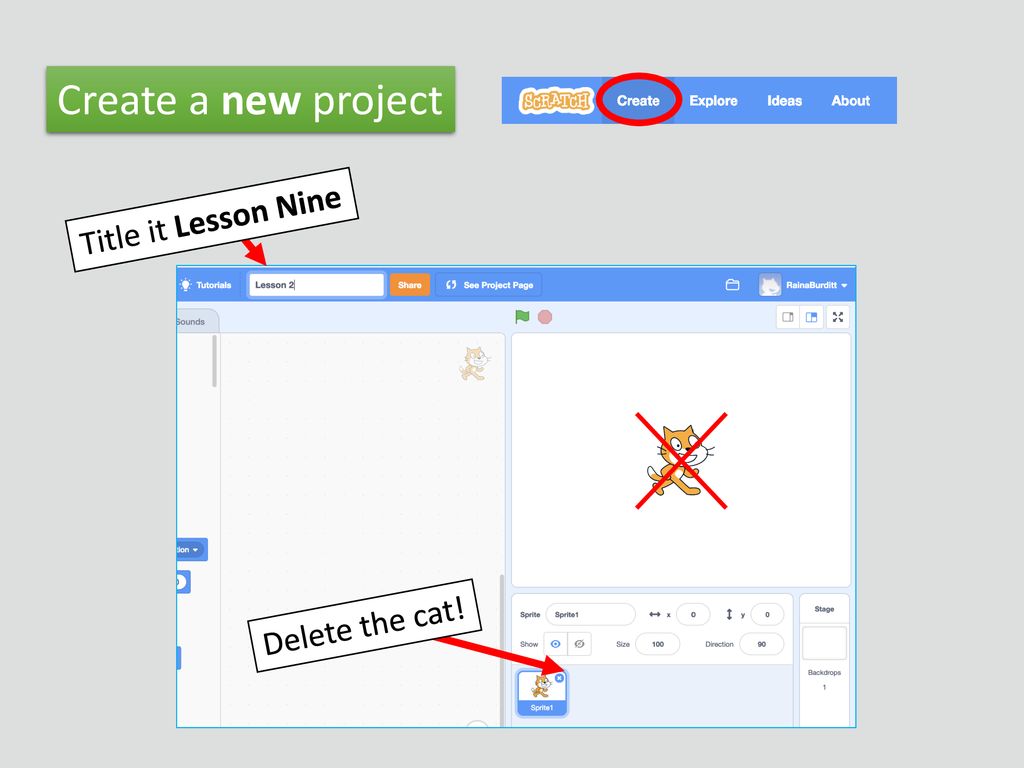 Create a new project Title it Lesson Nine Delete the cat!