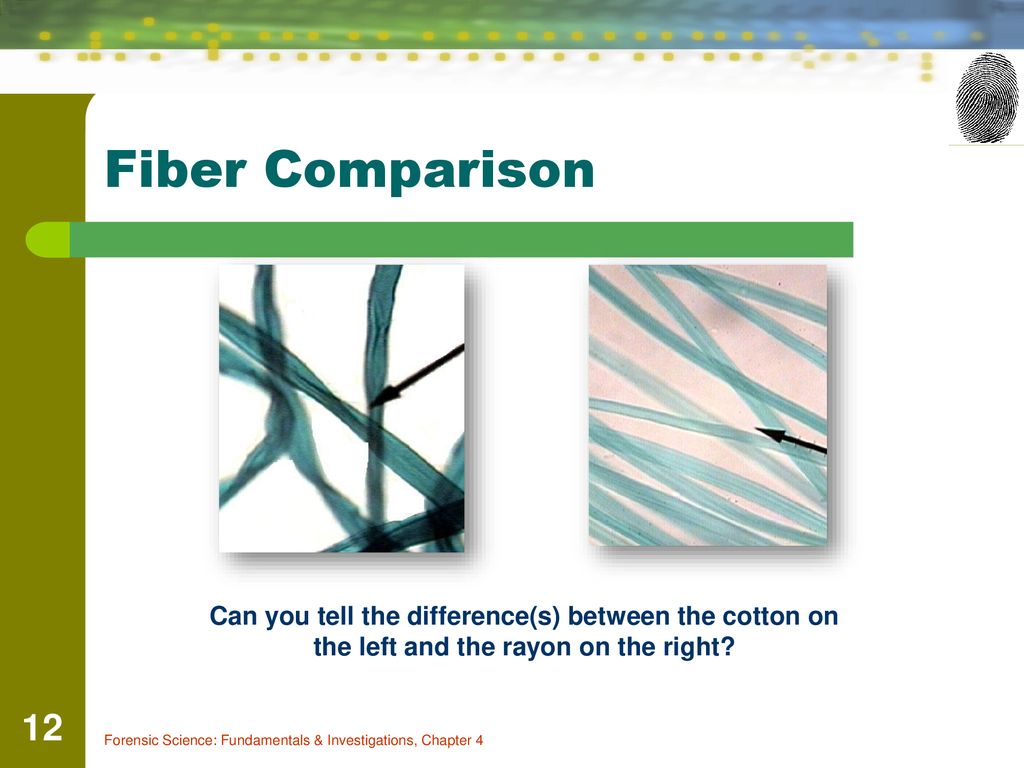 Chapter 4 A Study of Fibers and Textiles ppt download