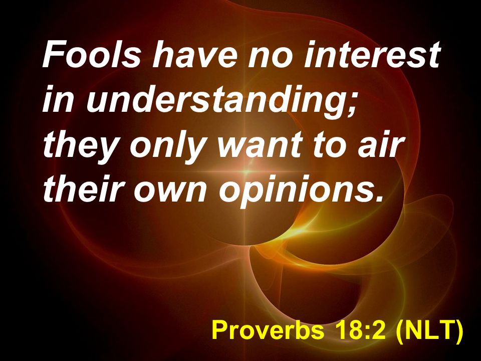 Fools have no interest in understanding; they only want to air their own opinions.