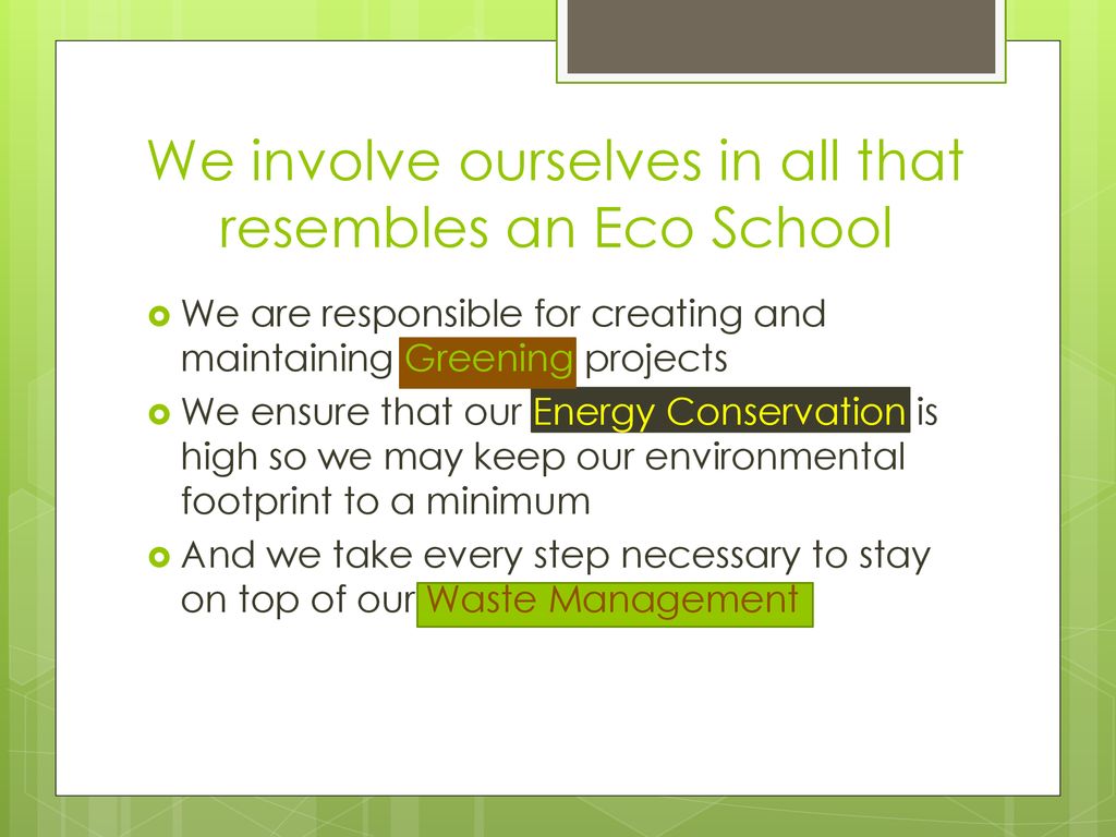 We involve ourselves in all that resembles an Eco School