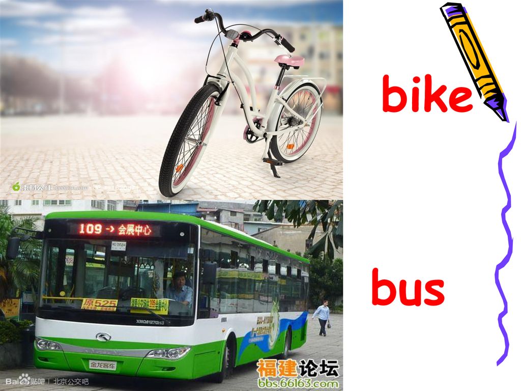 bike bus