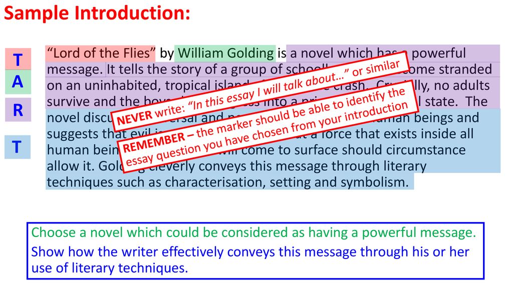 write the argumentative essay