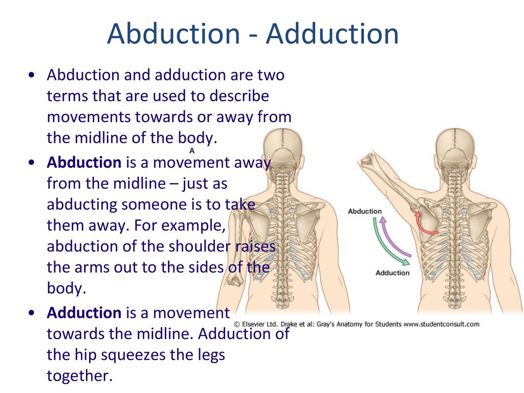 Abduction - Adduction Abduction and adduction are two terms that are used to describe movements towards or away from the midline of the body.