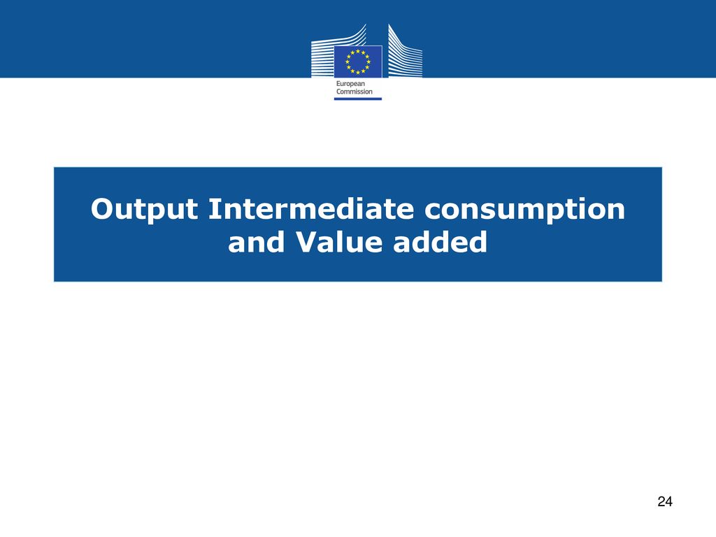 Output Intermediate consumption and Value added