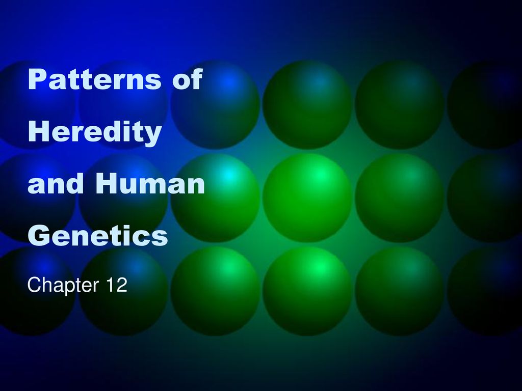 Patterns of Heredity and Human Genetics - ppt download