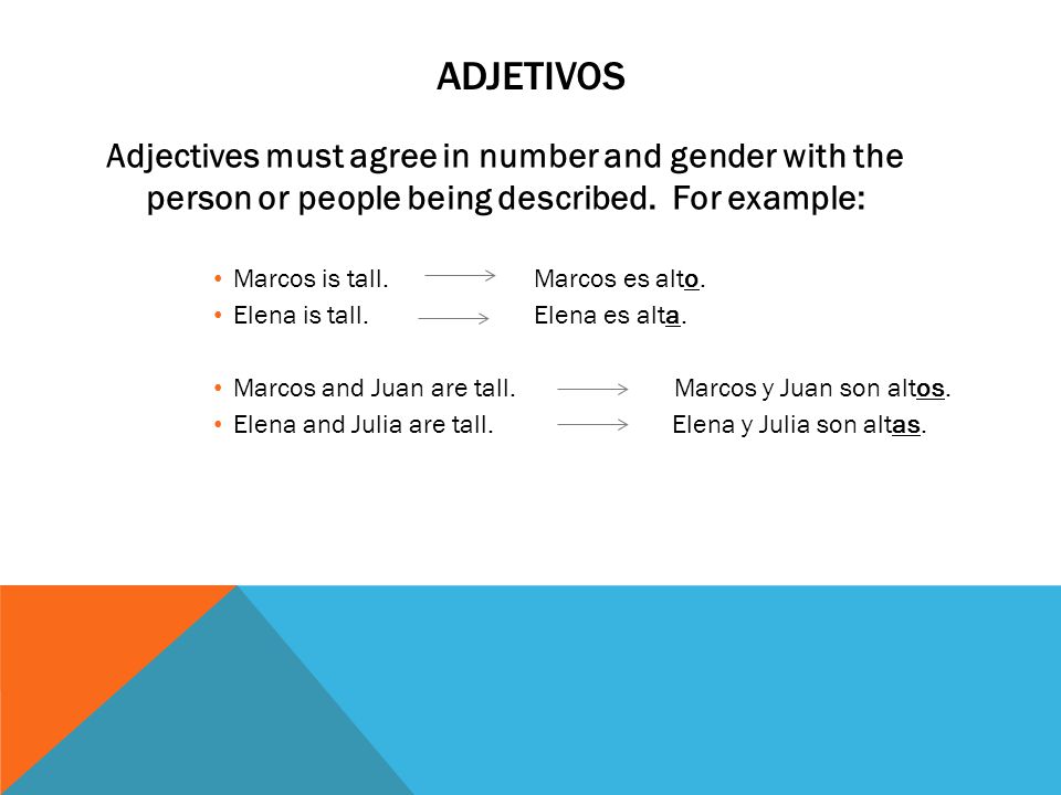 Adjetivos Adjectives must agree in number and gender with the person or people being described. For example: