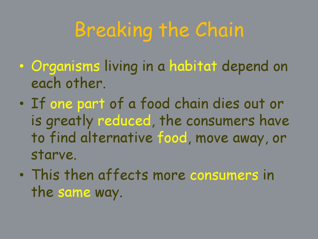 Food Chains and Food Webs Biology Diagrams